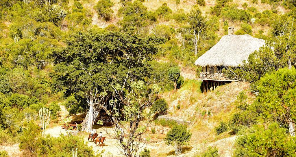 Olepangi Farm Villa Nanyuki Exterior photo