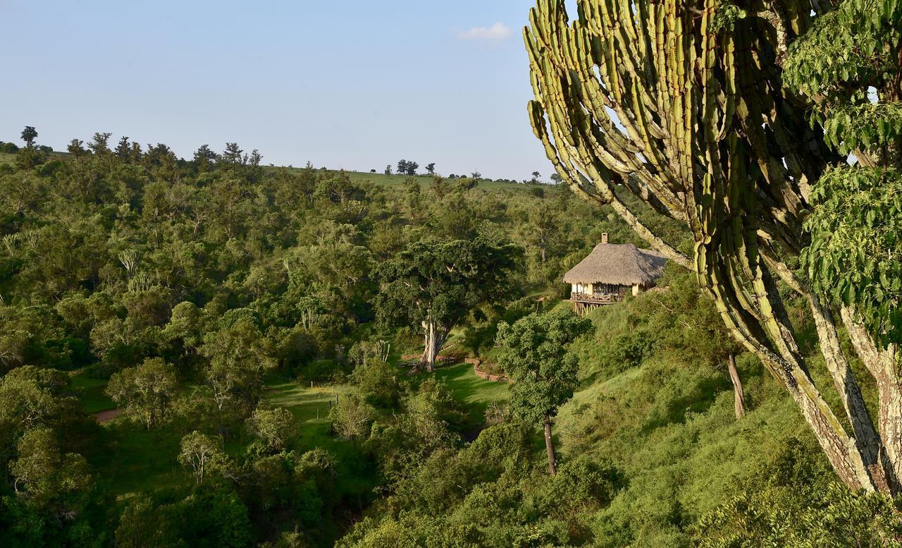 Olepangi Farm Villa Nanyuki Exterior photo