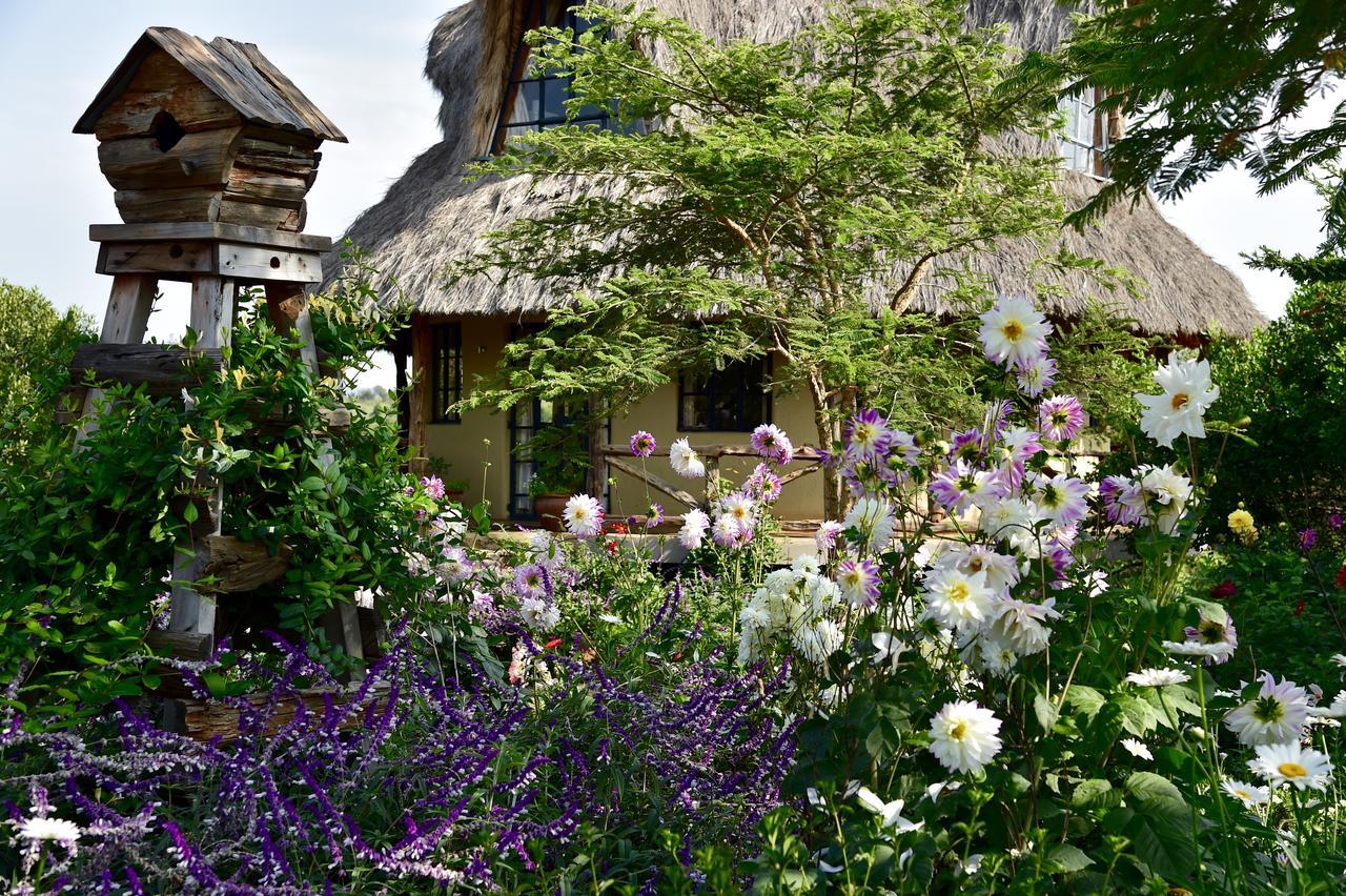 Olepangi Farm Villa Nanyuki Exterior photo